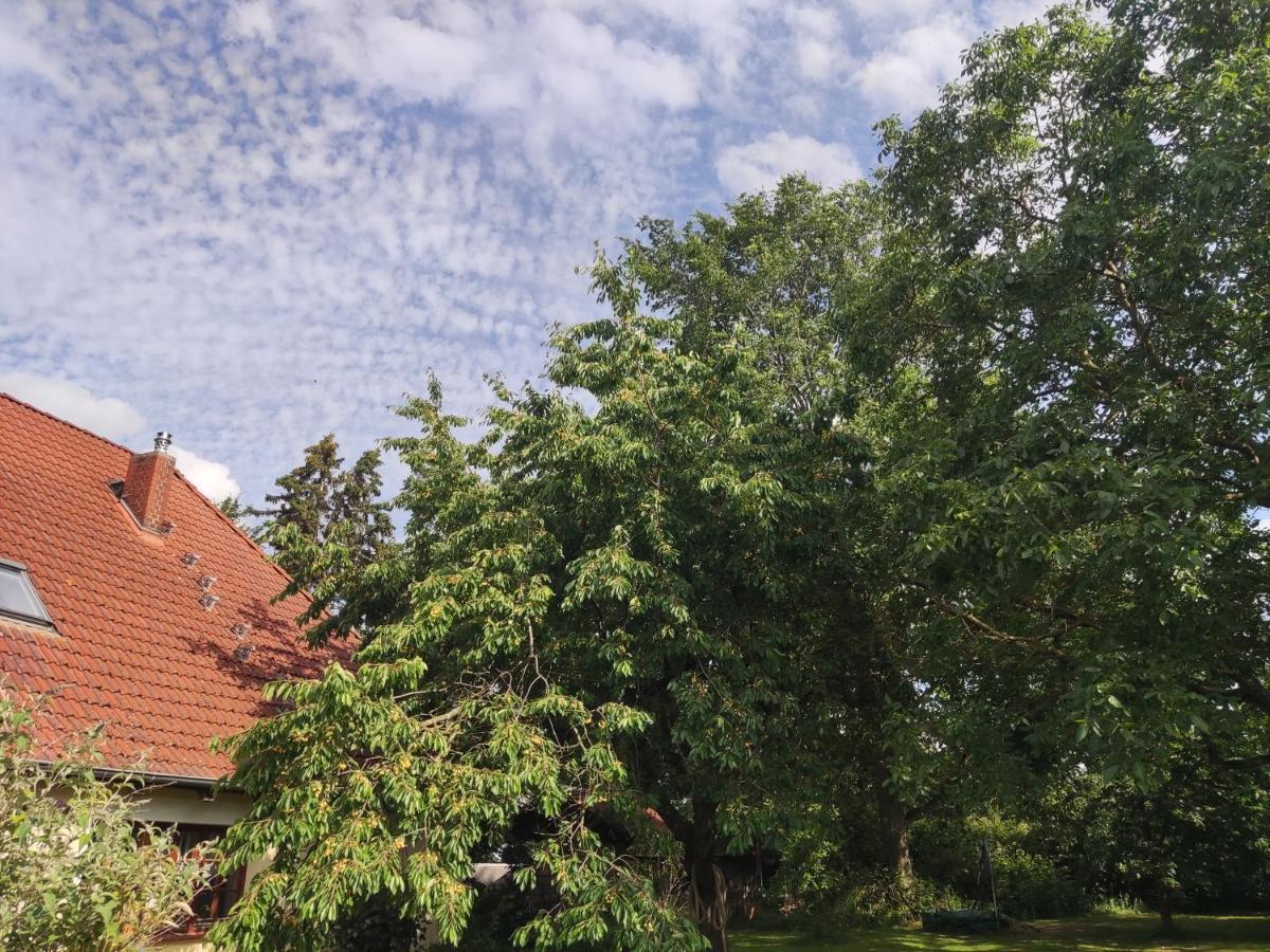 Five Oaks - Rote Wohnung Hohenkirchen  Екстериор снимка